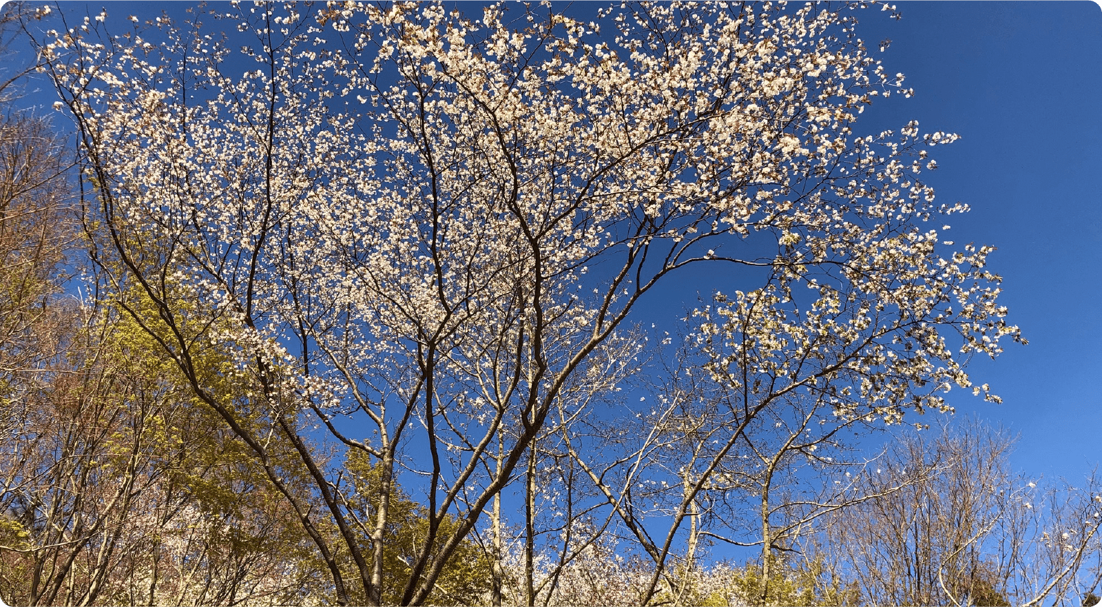 墓地のイメージ