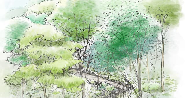 樹木葬墓地のイメージ