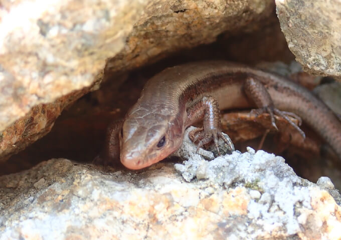 四季折々、豊かな自然の魅力