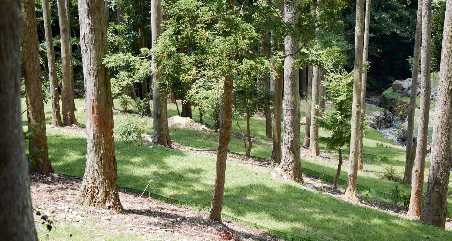 多種多様な、商品とサービス