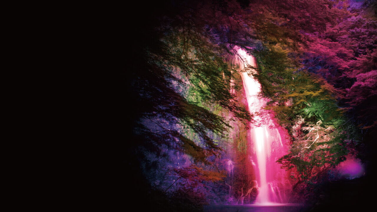 心を癒す、文化と歴史の魅力