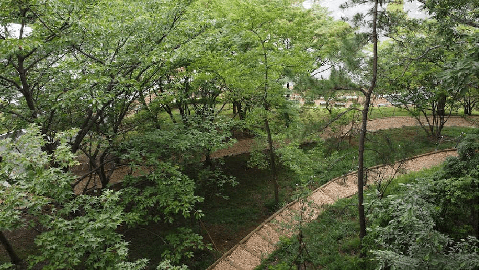 風景（ランドスケープ）墓苑