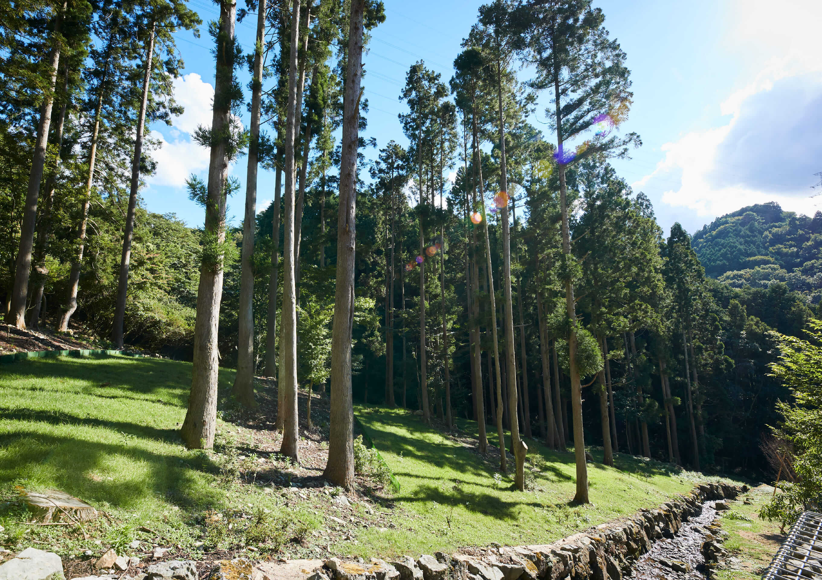 天の川イメージ