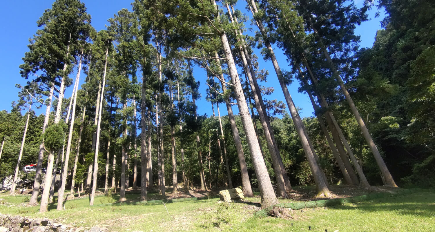 天の川イメージ
