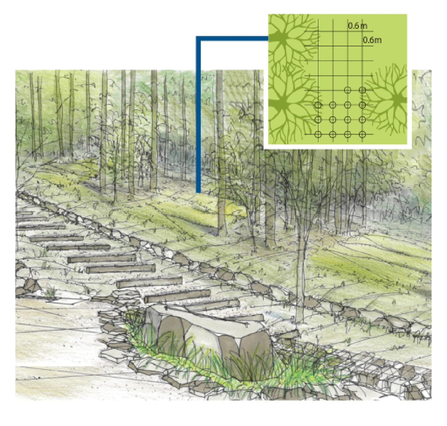 天の川のイメージ画像