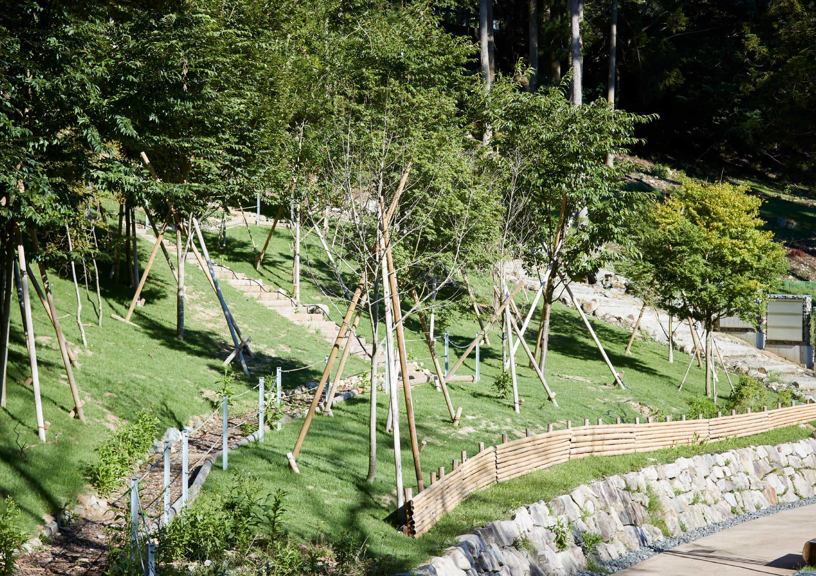 木々の風イメージ