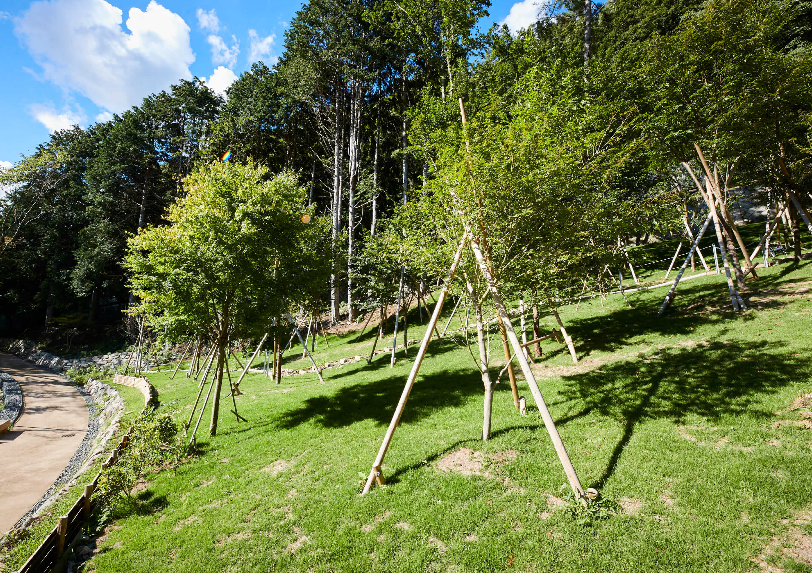 木々の風イメージ