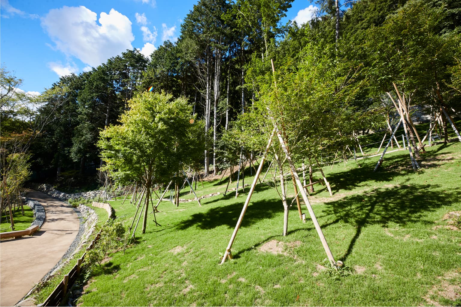 木々の風イメージ