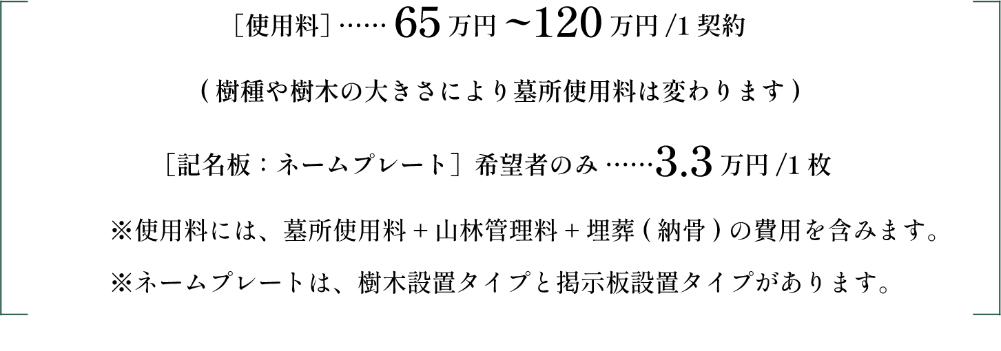 樹木葬・木だち（占用型）