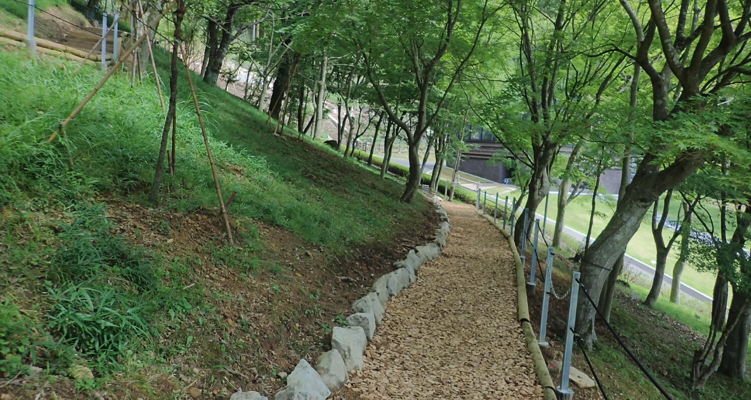 木だちイメージ