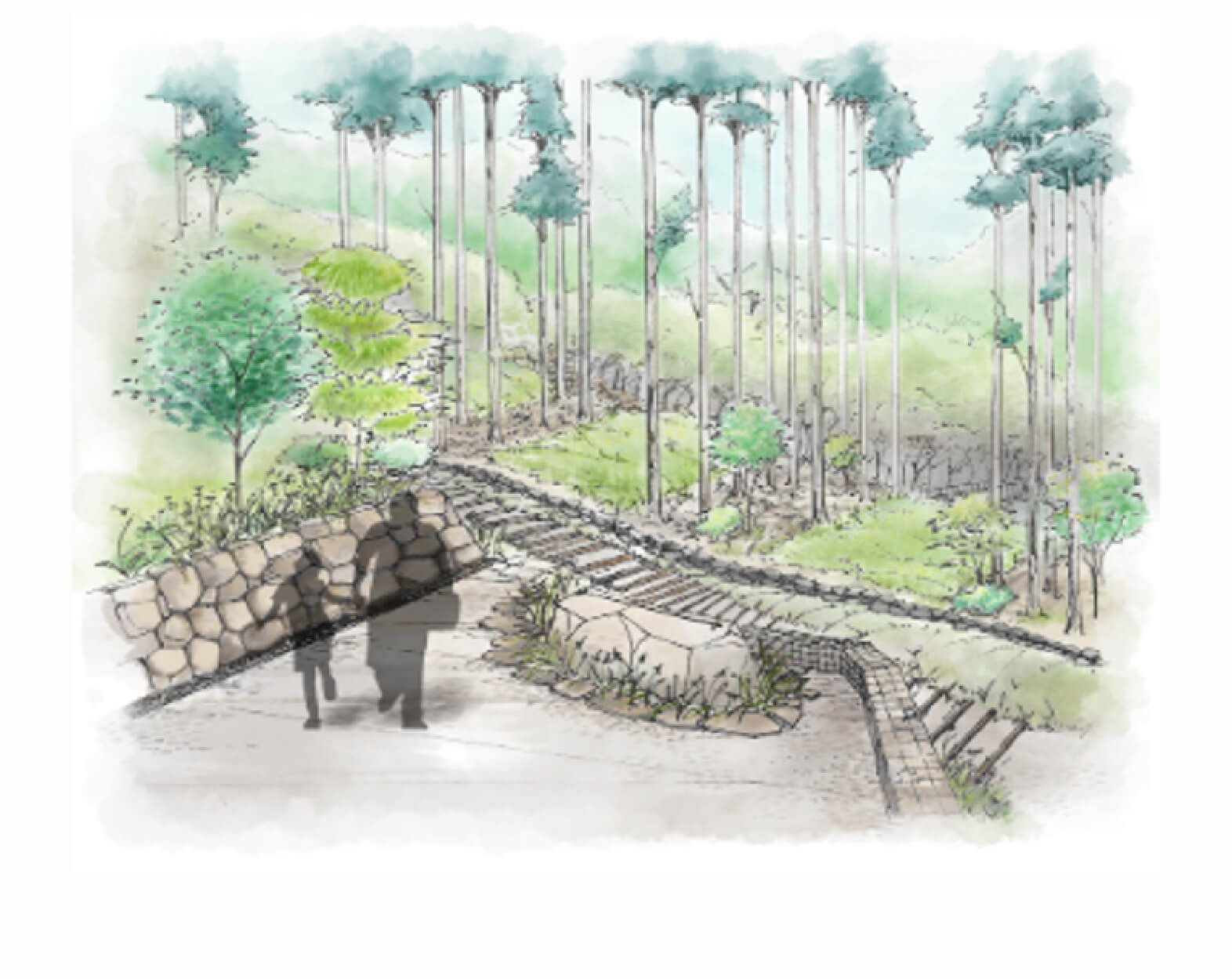 樹木葬墓地の散策路のイメージ