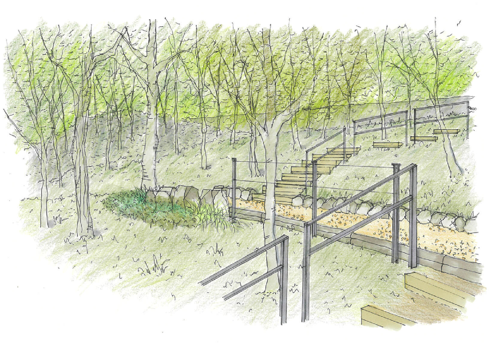樹木葬墓地の散策路のイメージ