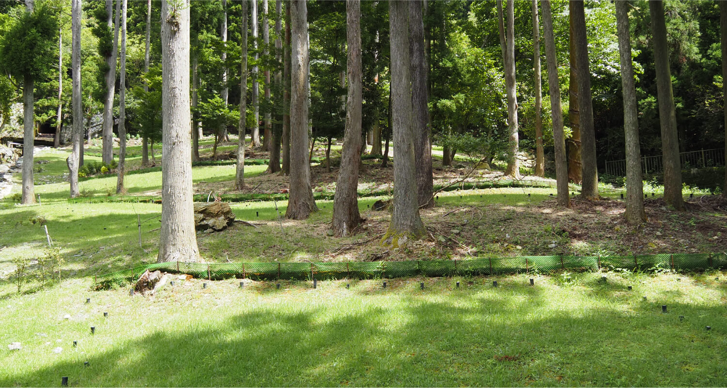 ご利用の仕組み