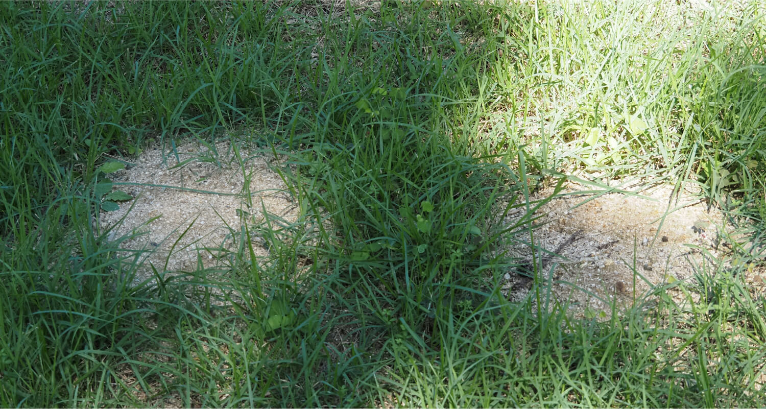 ご利用の仕組み