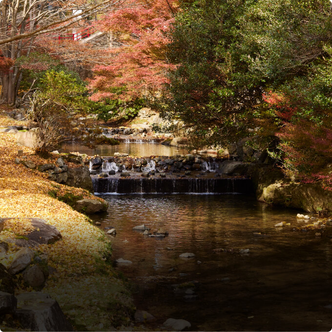 四季折々豊かな自然の魅力