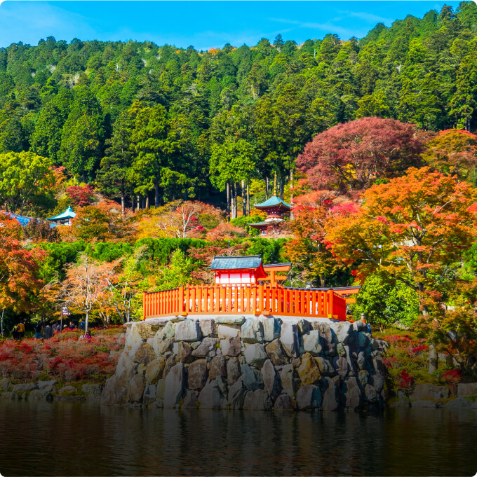 心を癒す 文化と歴史の魅力