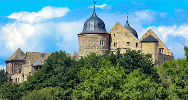 ドイツ型樹木葬のイメージ