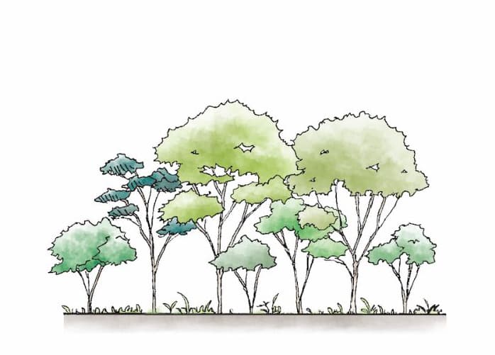 開園〜50年後のイメージ