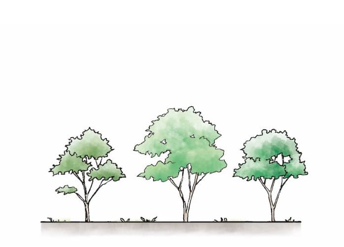 開園〜50年後のイメージ