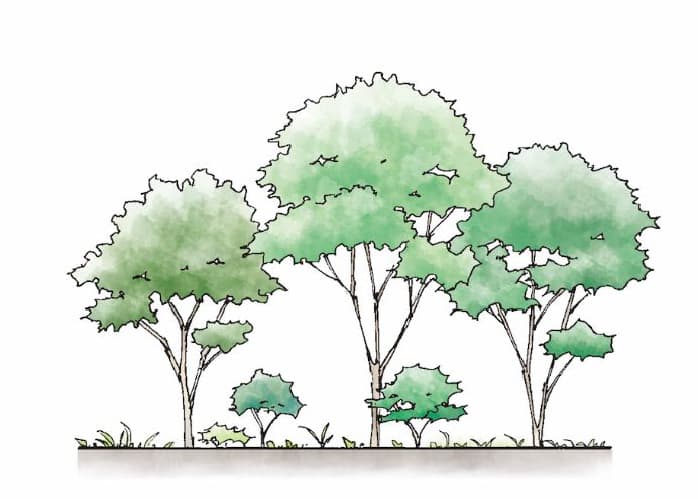 50年〜100年後のイメージ