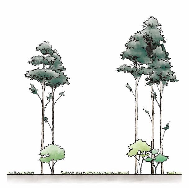 開園〜50年後のイメージ