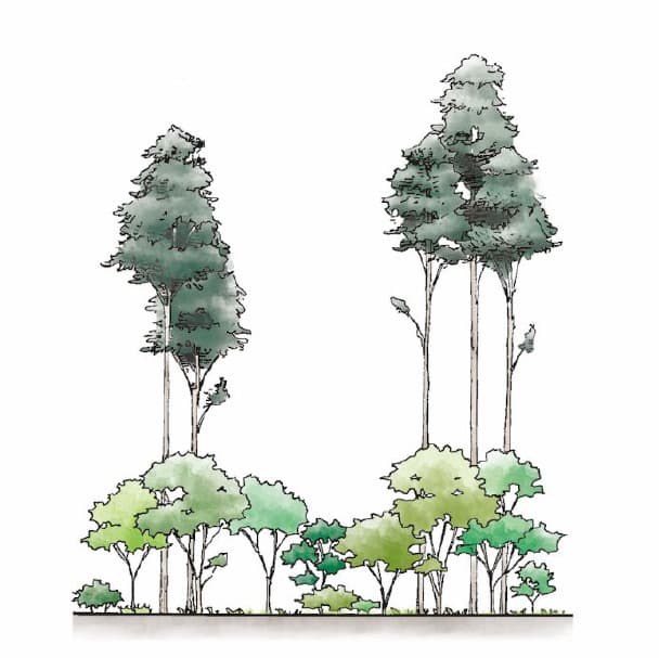 50年〜100年後のイメージ