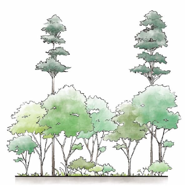 100年〜のイメージ