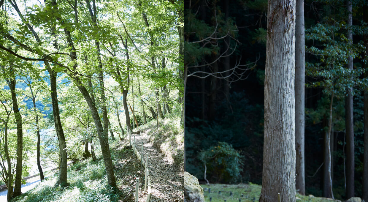 樹木葬・木もれび、樹木葬・天の川