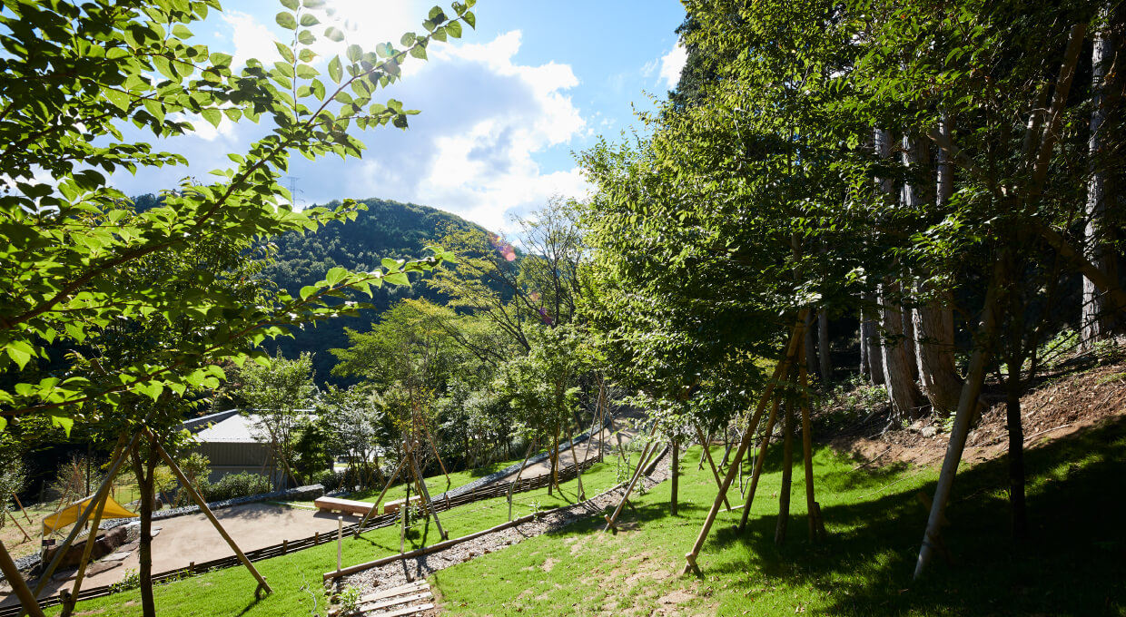 樹木葬・木々の風