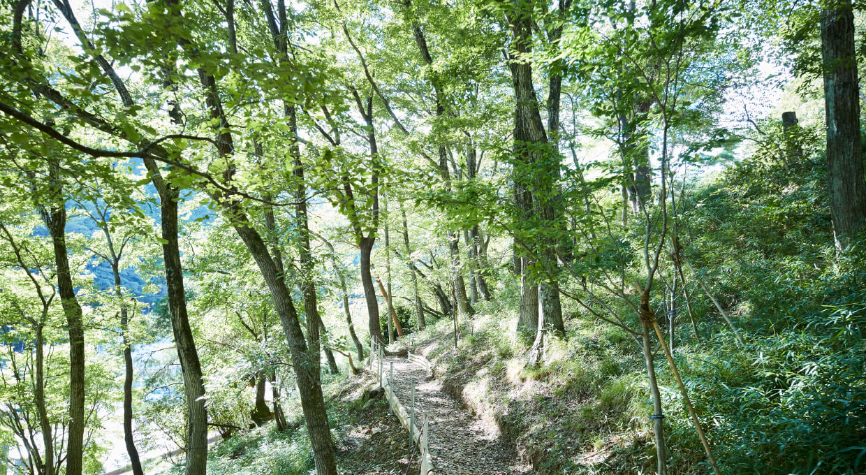 樹木葬・木もれび